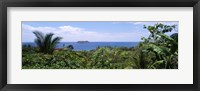 Manuel Antonia National Park nr Quepos Costa Rica Fine Art Print