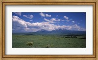 Meadow with mountains in the background, Cuchara River Valley, Huerfano County, Colorado, USA Fine Art Print