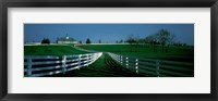 USA, Kentucky, Lexington, horse farm Framed Print