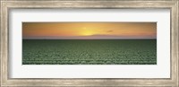 High angle view of a lettuce field at sunset, Fresno, San Joaquin Valley, California, USA Fine Art Print