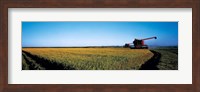 Harvested rice field Glenn Co CA USA Fine Art Print