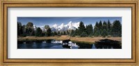 Moose & Beaver Pond Grand Teton National Park WY USA Fine Art Print