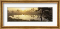 Reflection of trees in a lake, Vastmanland, Sweden Fine Art Print