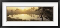 Reflection of trees in a lake, Vastmanland, Sweden Fine Art Print
