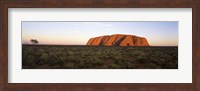 Landscape with sandstone formation at dusk, Uluru, Uluru-Kata Tjuta National Park, Northern Territory, Australia Fine Art Print