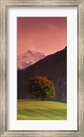 Switzerland, Alps Fine Art Print