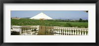 Vineyards Terrace at Winery Napa Valley CA USA Fine Art Print