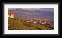 Vineyard at a hillside, Lake Geneva, Vevey, Vaud, Switzerland Fine Art Print