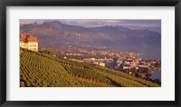 Vineyard at a hillside, Lake Geneva, Vevey, Vaud, Switzerland Fine Art Print