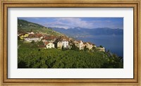 Village Rivaz between Vineyards & Mts. Lake Geneva Switzerland Fine Art Print