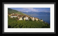Village Rivaz between Vineyards & Mts. Lake Geneva Switzerland Fine Art Print