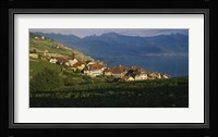 Village on a hillside, Rivaz, Lavaux, Switzerland Fine Art Print