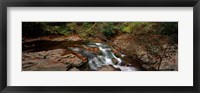 White Water The Great Smoky Mountains TN USA Fine Art Print
