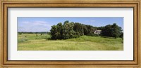 House in a field, Otter Tail County, Minnesota, USA Fine Art Print