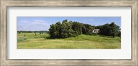House in a field, Otter Tail County, Minnesota, USA Fine Art Print