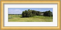 House in a field, Otter Tail County, Minnesota, USA Fine Art Print