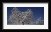Two people horseback riding through cherry trees on a snow covered landscape, Aargau, Switzerland Fine Art Print