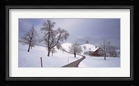 Switzerland, Canton of Zug, Linden trees on a snow covered landscape Fine Art Print