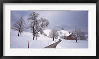 Switzerland, Canton of Zug, Linden trees on a snow covered landscape Fine Art Print