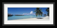 Palm Tree On The Beach, Moana Beach, Bora Bora, Tahiti, French Polynesia Fine Art Print
