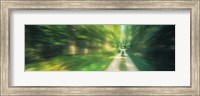 Road, Greenery, Trees, Germany Fine Art Print