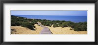 Boardwalk on the beach, Cuesta De Maneli, Donana National Park, Huelva Province, Spain Fine Art Print