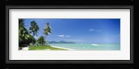 Palm trees on the beach, Penang State, Malaysia Fine Art Print