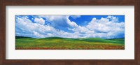 Open Field, Hill, Clouds, Blue Sky, Tuscany, Italy Fine Art Print