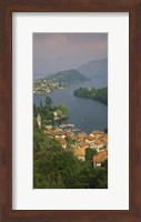 High angle view of houses at the waterfront, Sala Comacina, Lake Como, Italy Fine Art Print