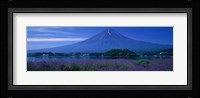 Mount Fuji Japan Fine Art Print
