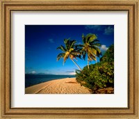 Palm trees and beach, Tahiti French Polynesia Fine Art Print