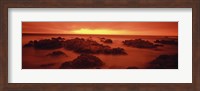 Foggy beach at dusk, Pebble Beach, Monterey County, California, USA Fine Art Print