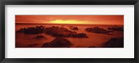 Foggy beach at dusk, Pebble Beach, Monterey County, California, USA Fine Art Print