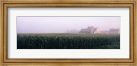 Barn in a field, Illinois, USA Fine Art Print
