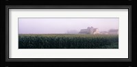Barn in a field, Illinois, USA Fine Art Print