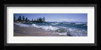 Trees along a lake, Lake Tahoe, Nevada, USA Fine Art Print