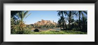 Palm trees with a fortress in the background, Tiffoultoute, Ouarzazate, Marrakesh, Morocco Fine Art Print