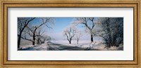 Road passing through winter fields, Illinois, USA Fine Art Print