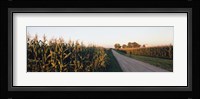 Dirt road passing through fields, Illinois, USA Fine Art Print