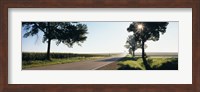 Road passing through fields, Illinois Route 64, Illinois, USA Fine Art Print