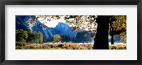 Half Dome, Yosemite National Park, California, USA Fine Art Print