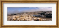 Barn in a field, Morven Hills Station, Otago, New Zealand Fine Art Print