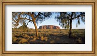 Ayers Rock Australia Fine Art Print