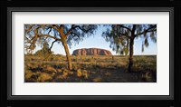 Ayers Rock Australia Fine Art Print