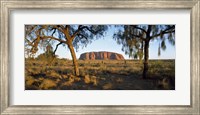 Ayers Rock Australia Fine Art Print