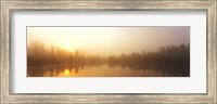 Misty Morning, Volvo Bog, Illinois, USA Fine Art Print