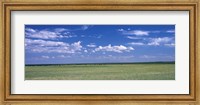 Herd of Bison on prairie Cheyenne WY USA Fine Art Print