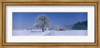 Winter Scenic, Austria Fine Art Print