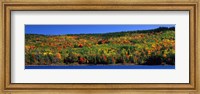 Autumn Eagle Lake, Acadia National Park, Maine, USA Fine Art Print
