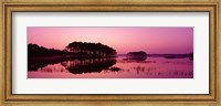 Panoramic View Of The National Forest During Sunset, Chincoteague National Wildlife Refuge, Virginia, USA Fine Art Print